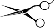icon-bn1-h22