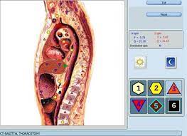 Bioresonantsdiagnostika